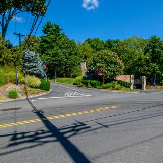 A sunny day at a quiet street intersection surrounded by trees.