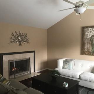 A cozy living room with a modern aesthetic, featuring a sofa, fireplace, ceiling fan, and decorative wall art.