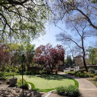 A serene park scene featuring vibrant greenery and blooming trees under a clear blue sky.