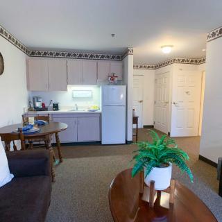 A cozy apartment living space with a kitchenette, sofa, and table with a plant.