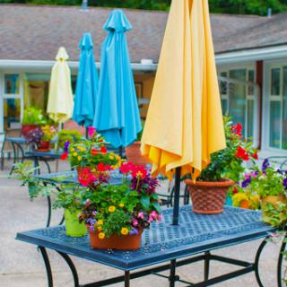 A vibrant outdoor patio filled with colorful umbrellas and blooming flowers.