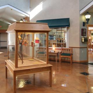 A well-lit museum interior featuring a display case with an artifact, surrounded by seating areas.