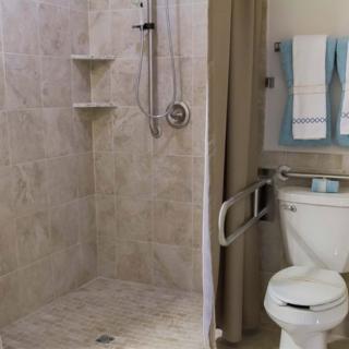 A modern bathroom featuring a walk-in shower and a toilet with grab bars.