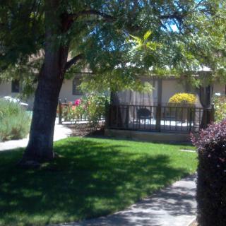 A sunny day view of a house with a lush green garden and a pathway.