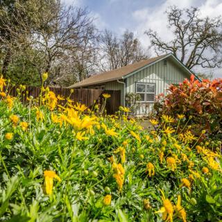 A charming cabin surrounded by a vibrant garden filled with yellow flowers.