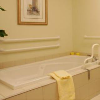 A bathroom featuring a bathtub equipped with safety rails, a yellow towel, and framed artwork on the wall.