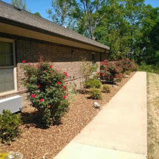A well-maintained garden alongside a paved pathway leading to a house.