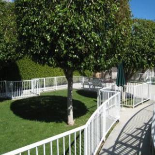A landscaped garden with a tree surrounded by a white fence and a winding pathway.