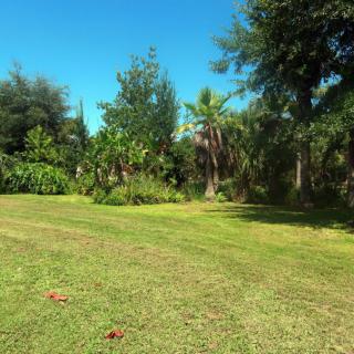 A sunny day in a grassy area surrounded by trees.