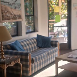 A cozy living room with a checkered sofa, blue cushions, and natural light streaming through the windows.