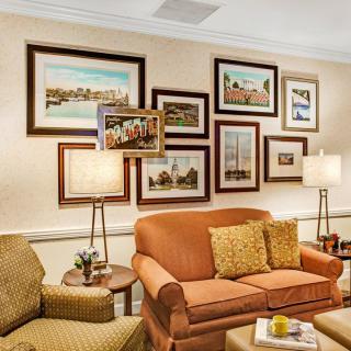 A cozy living room with a sofa and gallery wall of framed art pieces.