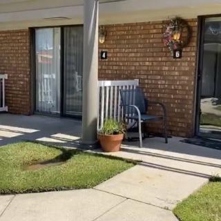 A small patio area outside an apartment with a bench and potted plant, surrounded by green grass and a pathway.