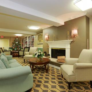 A cozy living room with elegant furniture and a decorated Christmas tree.