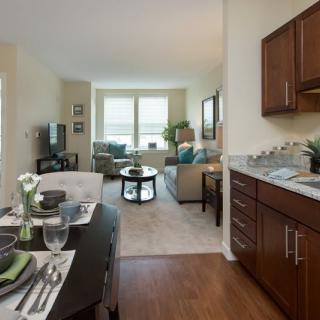 A modern apartment with a cozy living room, dining area, and kitchen in an open floor plan.