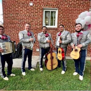 A lively mariachi band performing outdoors, showcasing traditional instruments and festive attire.
