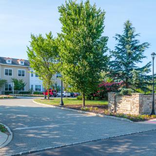 A quiet suburban residential area with well-maintained greenery and modern buildings.