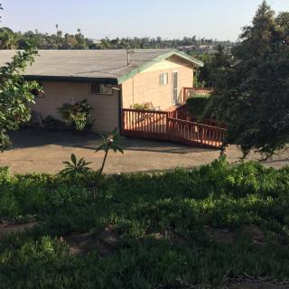 A single-story house with a driveway and surrounding greenery on a sunny day.