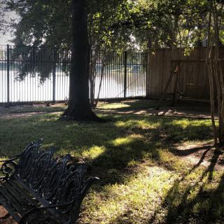 A peaceful garden scene with a bench, trees, and sunlight casting shadows on the grass.