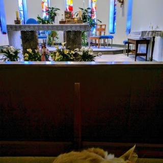 A serene view of the church interior, featuring a beautifully decorated altar and colorful stained glass windows.