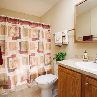 A well-appointed bathroom featuring a toilet, sink with wooden cabinetry, decorative plant, and patterned shower curtain.