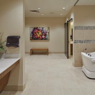 A luxurious and modern bathroom with a spa-like atmosphere, featuring elegant decor and a large bathtub.