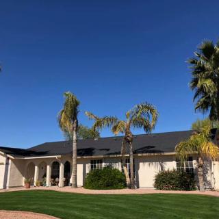 A suburban house with a manicured lawn and palm trees under a clear blue sky.