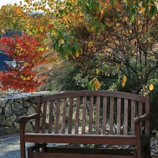 A wooden bench surrounded by colorful autumn foliage in a serene park setting.