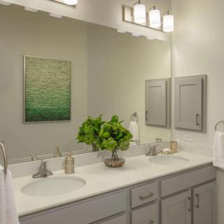 A well-lit bathroom with a double sink vanity and decorative greenery.