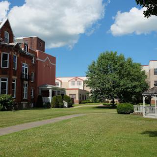 A scenic view of diverse architectural styles with lush green grass and a clear blue sky.