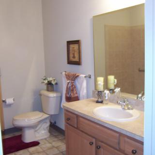A clean and well-decorated bathroom with a sink, mirror, and toilet.