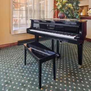 A piano with a matching bench in a cozy room with patterned carpet and a large window.