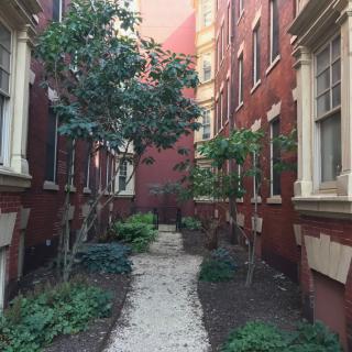 A narrow urban alley with a pathway and greenery between red brick buildings.
