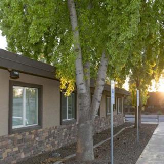 A building with large windows surrounded by greenery at sunset.