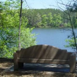 A peaceful bench overlooking a tranquil lake surrounded by trees.