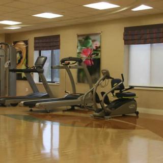 A gym with treadmills and exercise machines in a spacious, well-lit room.