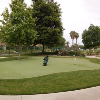 A serene putting green with a golf bag and surrounding trees.