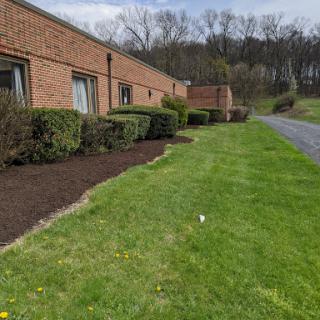A well-maintained lawn and landscaped area next to a brick building.