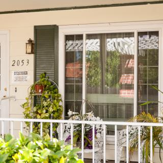 A cozy porch with lush plants in front of a windowed house.
