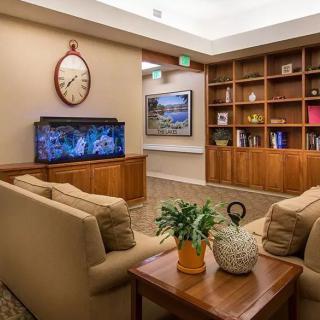 A cozy waiting room with comfortable seating, an aquarium, bookshelves, and indoor plants.