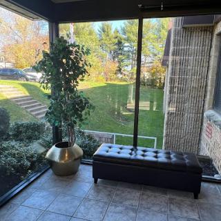 A cozy lobby area with a view of the outdoors, featuring a decorative plant and a stylish bench.