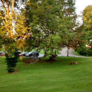 A serene outdoor scene featuring lush green grass, trees, and parked vehicles under warm sunlight.
