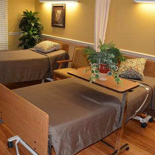 A hospital room featuring two neatly made beds with a central table adorned with plants.