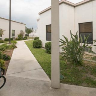 A view of a walkway between buildings lined with shrubs and plants.