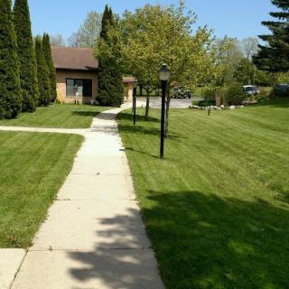 A well-maintained sidewalk leading to a house, bordered by green lawns and trees on a sunny day.