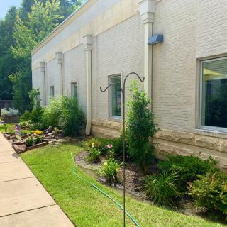 A landscaped garden area with greenery alongside a building on a sunny day.