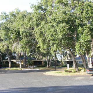 A serene view of a parking lot bordered by lush green trees.