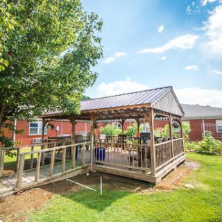 A cozy wooden pergola surrounded by lush greenery on a bright sunny day.