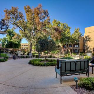 A tranquil outdoor setting featuring benches, lush trees, and well-maintained pathways under a clear blue sky.