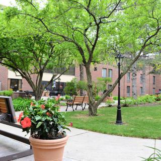 A serene outdoor garden area with benches, potted plants, and lush greenery.