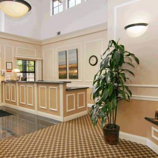 A welcoming hotel lobby featuring a reception desk, decorative plants, and stylish lighting.